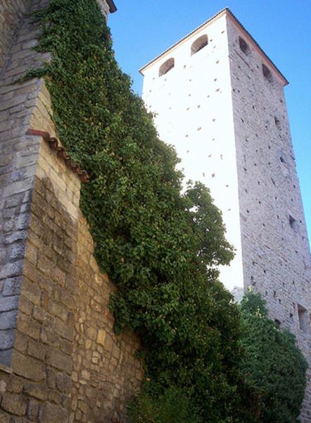 Castello Malaspina Di Varzi - Torre
