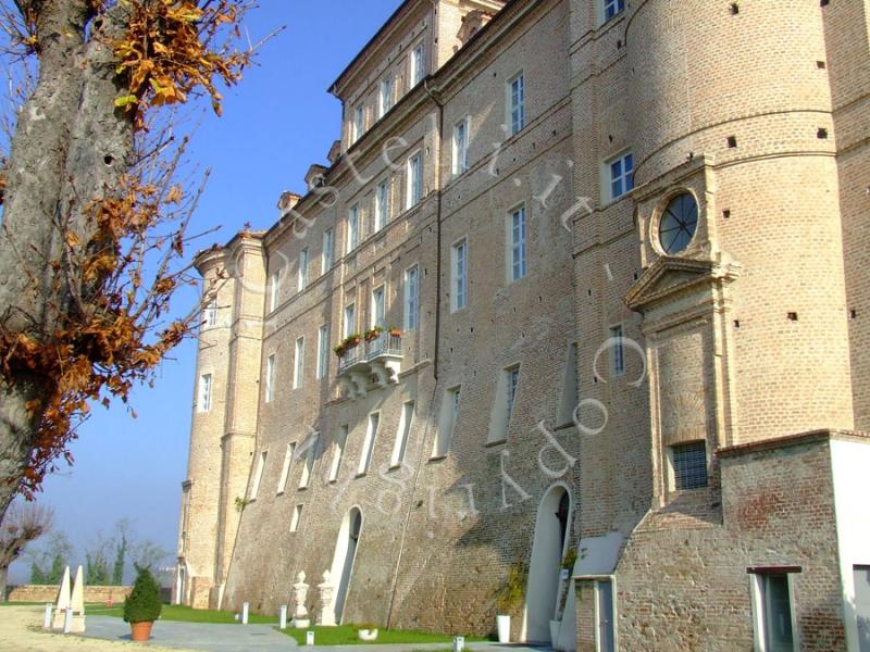 Castello Di Montaldo, particolare esterno