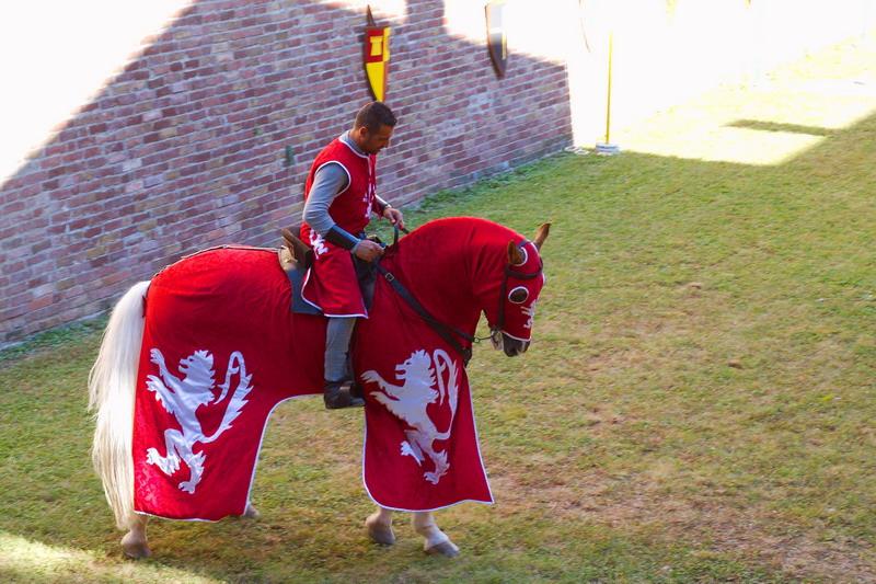 Castello Albani Di Urgnano - cavaliere medievale