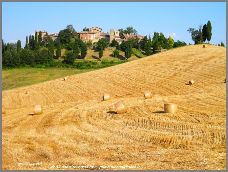 Castello di Zappolino - panoramica del colle su cui sorgeva il castello