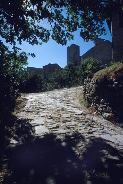 Il sentiero per giungere al Castello di Carpineti