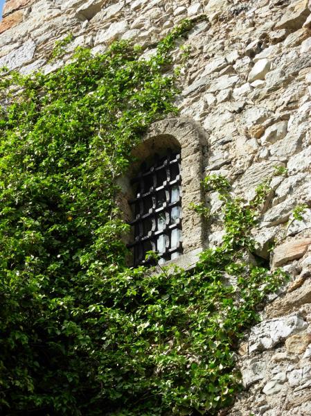 Rocca Di Orino - Finestra