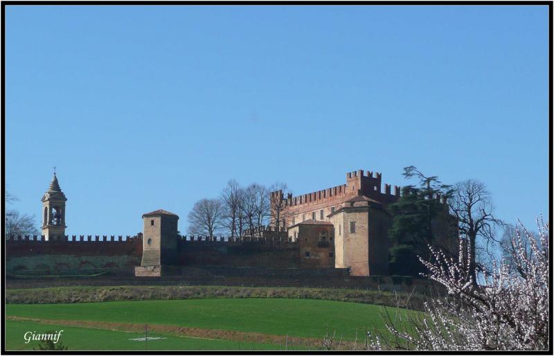 Castello Di Montemagno O Dei Conti Calvi Di Bergolo - Veduta esterna