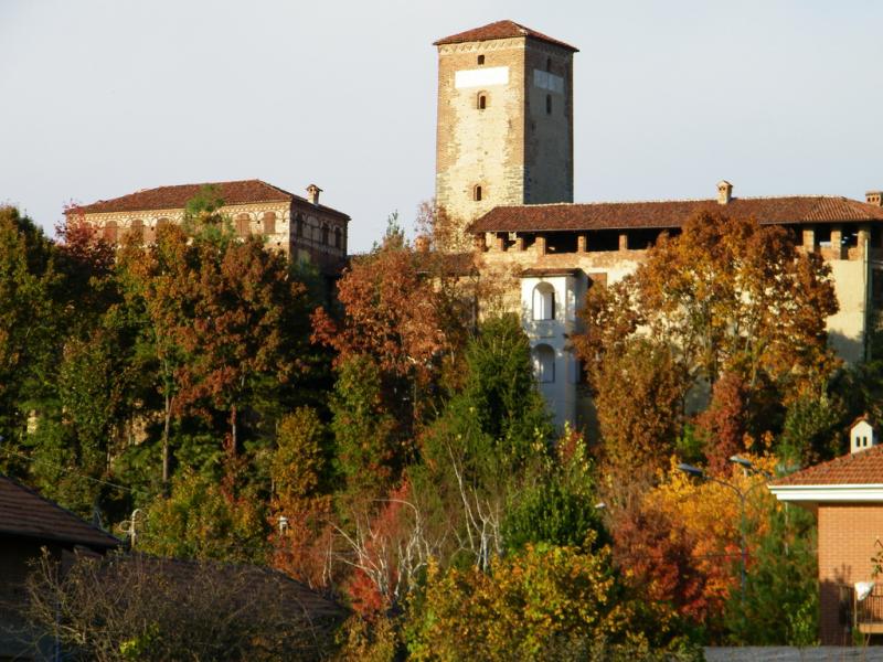 Castello Di Massazza O Rocca Dei Cavallari - il castello tra i boschi