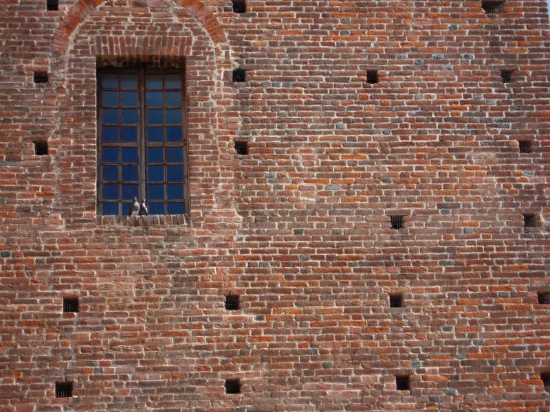 Castello Dei Principi Acaja Di Fossano - 2 colombi sulla finestra del castello