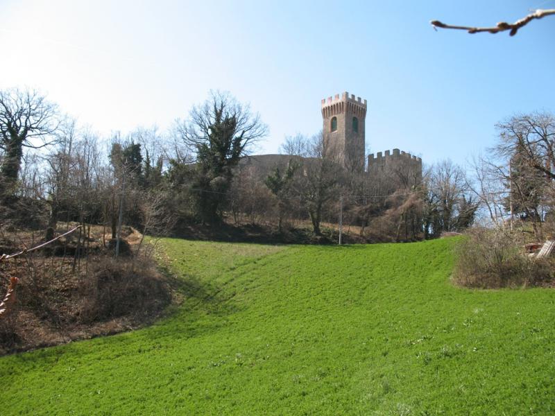 Il Castello Di Montecuccolo immerso nel verde