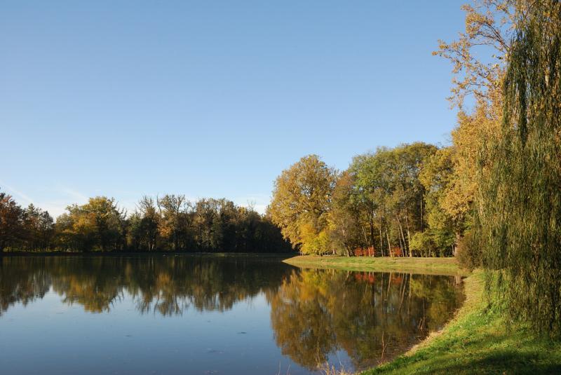 Castello Reale Di Racconigi - Il lago nel parco