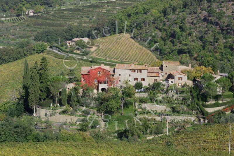 Castello Di Lamole, veduta panoramica esterna