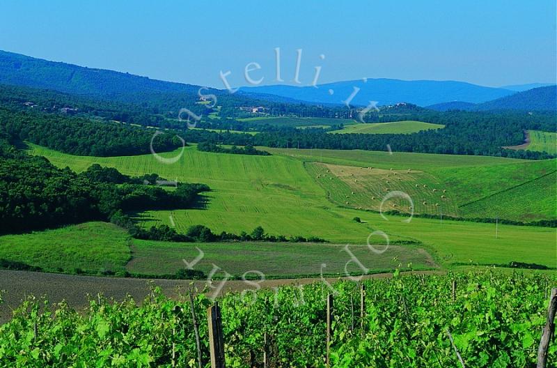 Castel Bigozzi, panoramia delle colline toscane