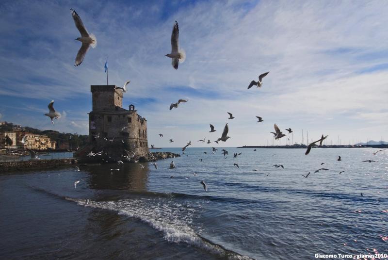 Castello Di Rapallo