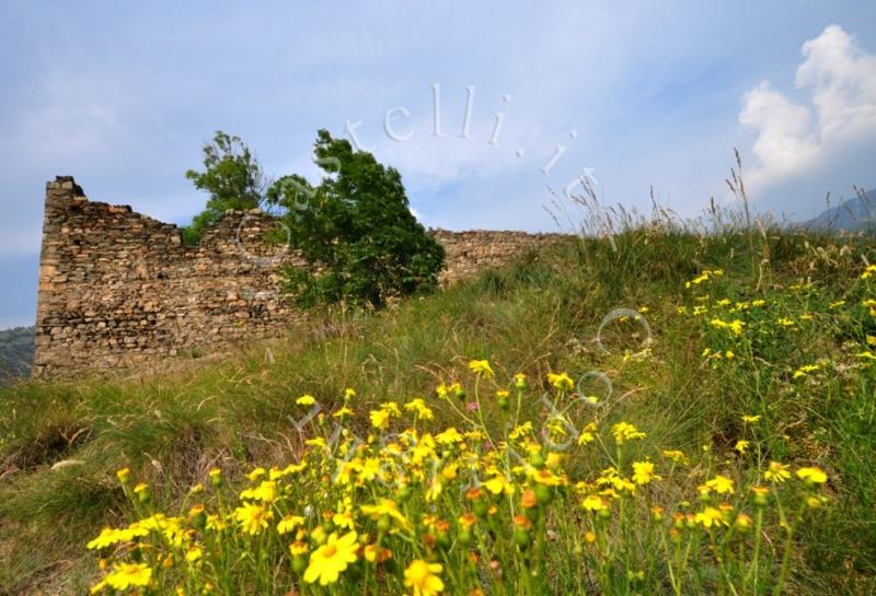 Castello Di Chenal