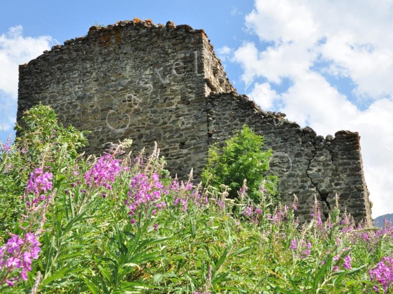 Casaforte Di Tarambel A Cogne