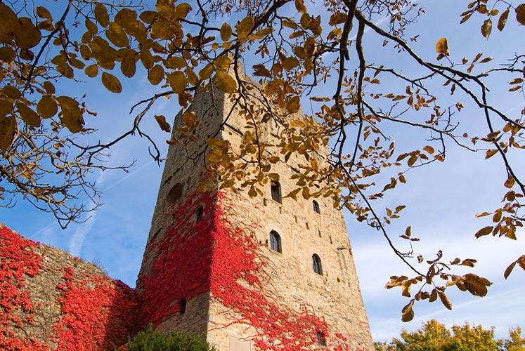 Castello Di Porciano, panoramica della torre