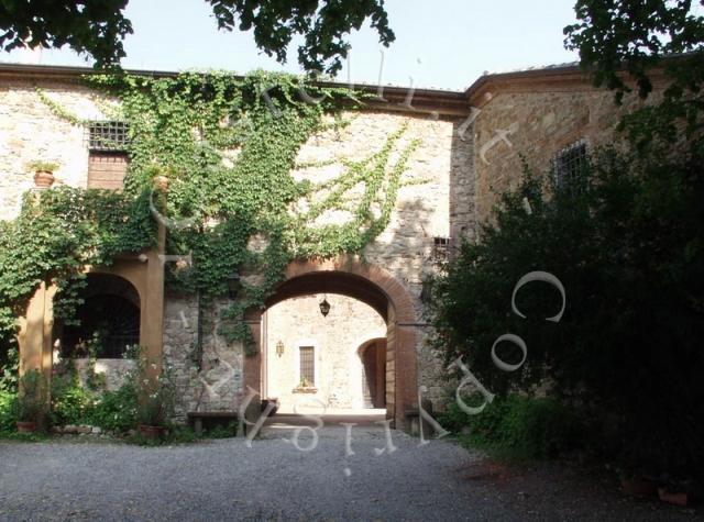 Castello di Rezzanello, particolare
