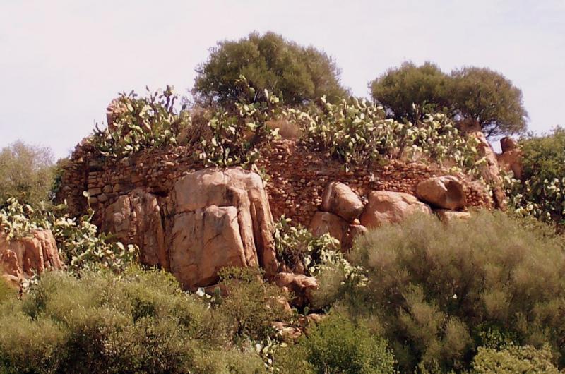 Castello Della Medusa O Di Ogliastra